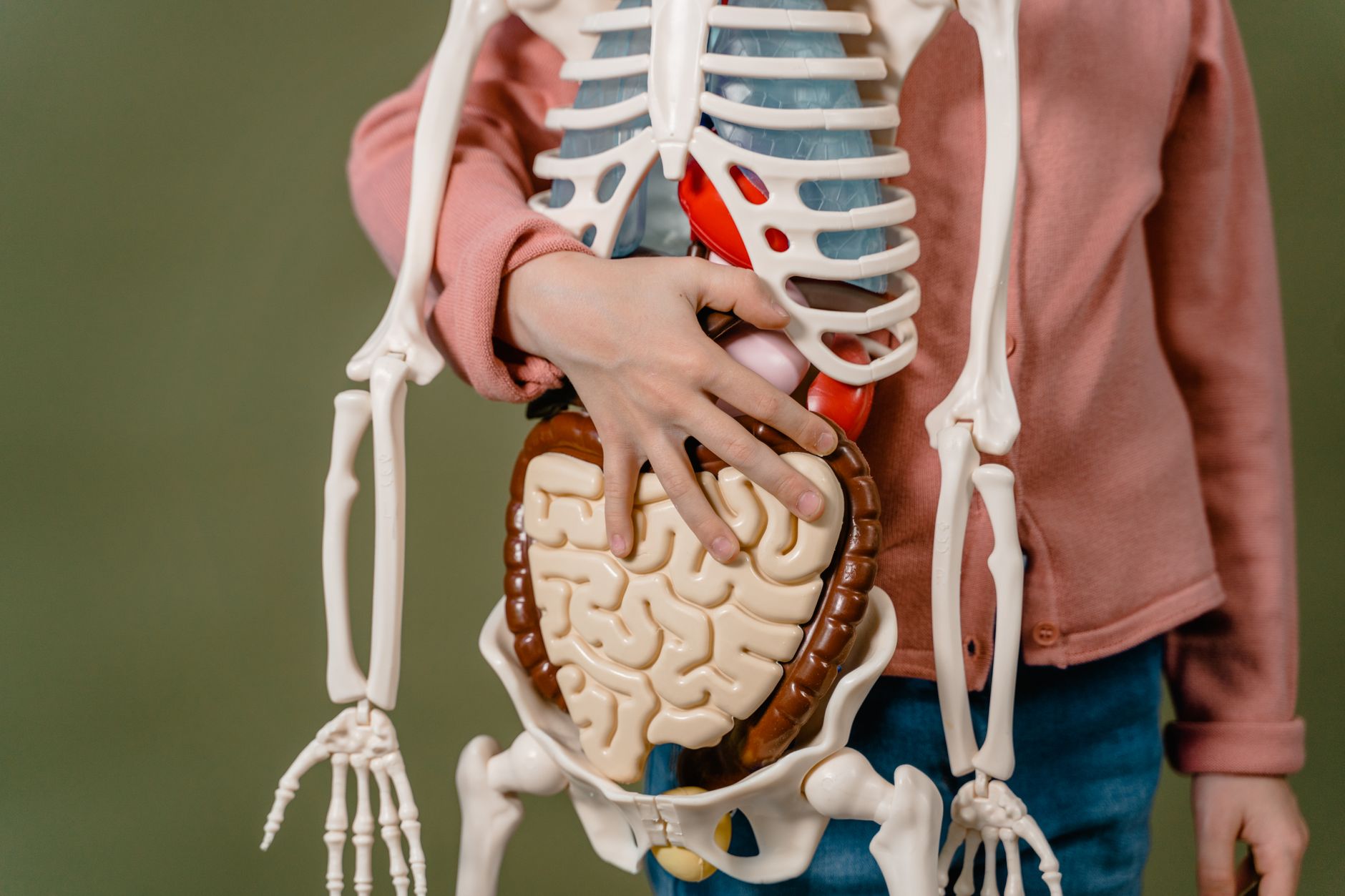 The Gut-Brain Connection: How Your Microbiome Affects Mental Health