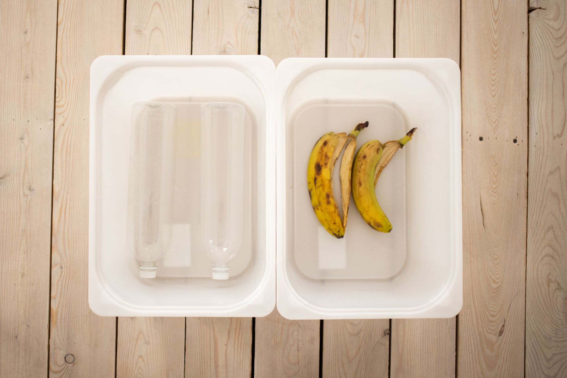 Urban Composting Made Simple: Your Essential Guide for City Dwellers