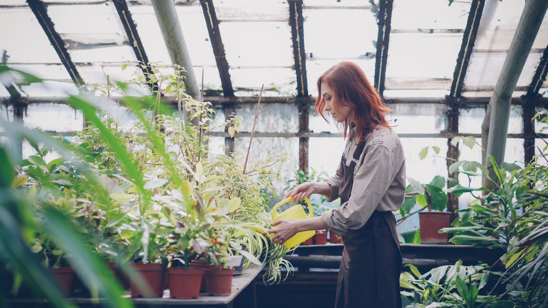 Apartment Gardening: Growing Your Own Food in Small Spaces
