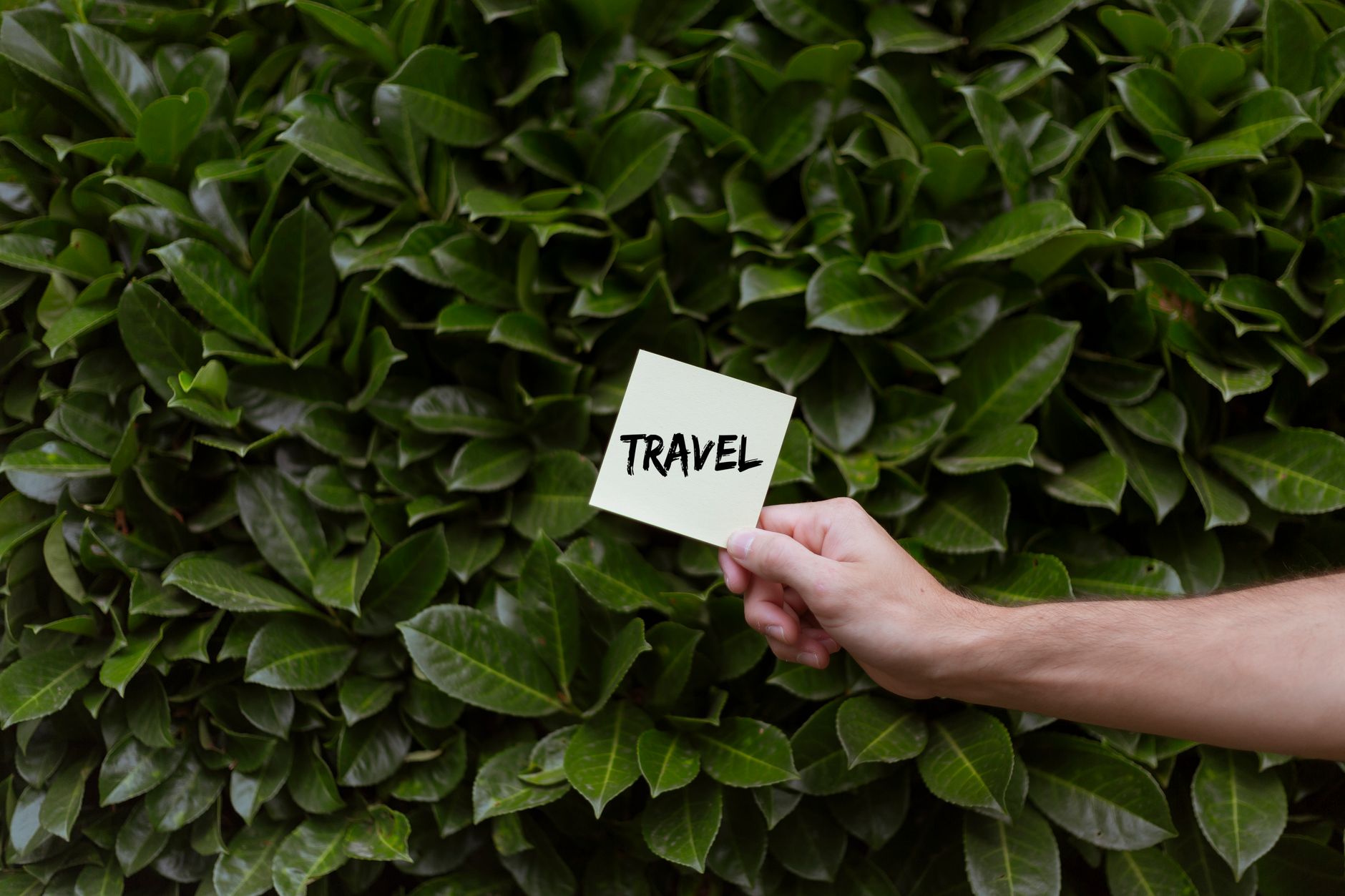 Eco-Friendly Travel in 2026: Explore the World Sustainably and Responsibly