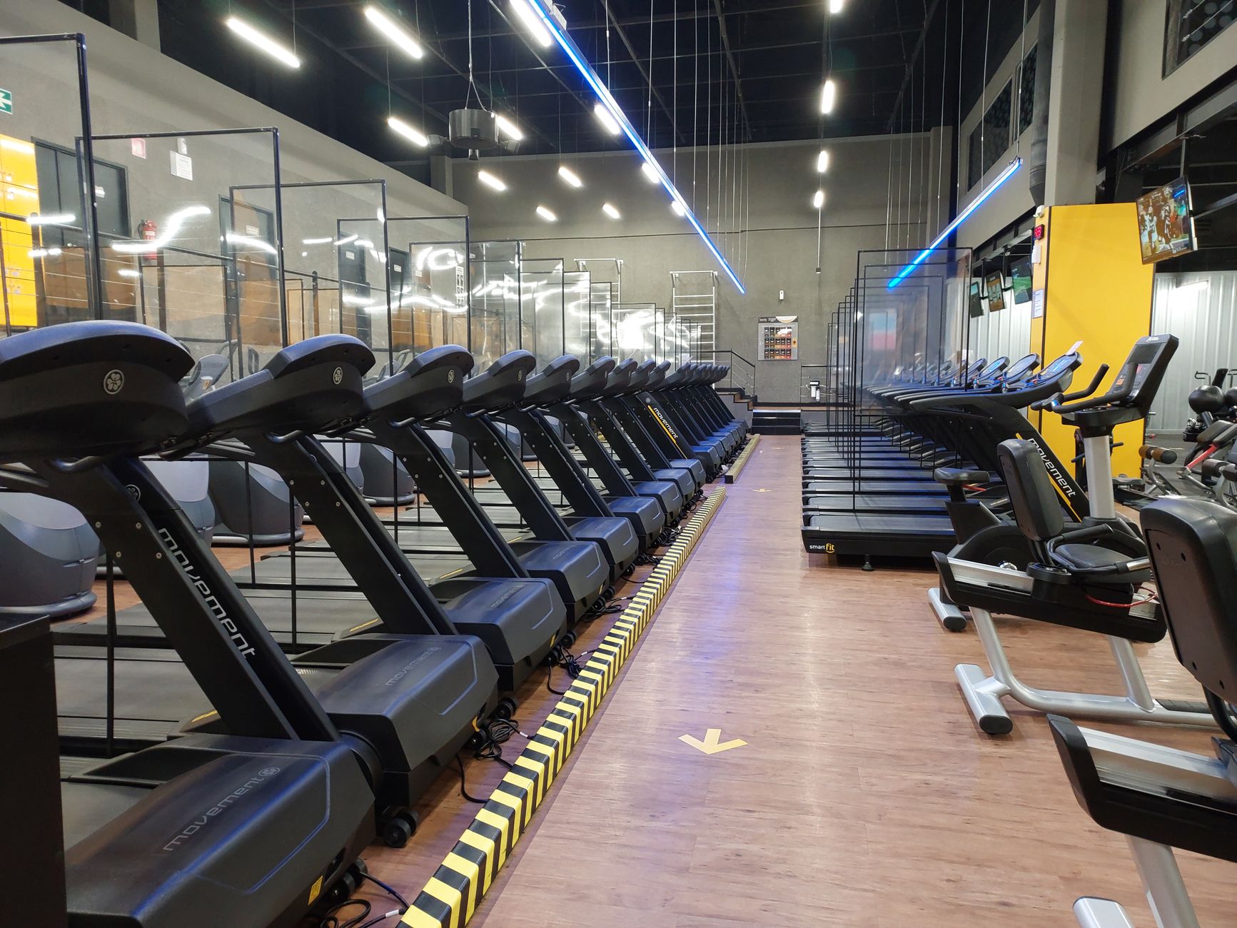 Zone 2 Cardio: The Science Behind the Most Effective Fat-Burning Exercise