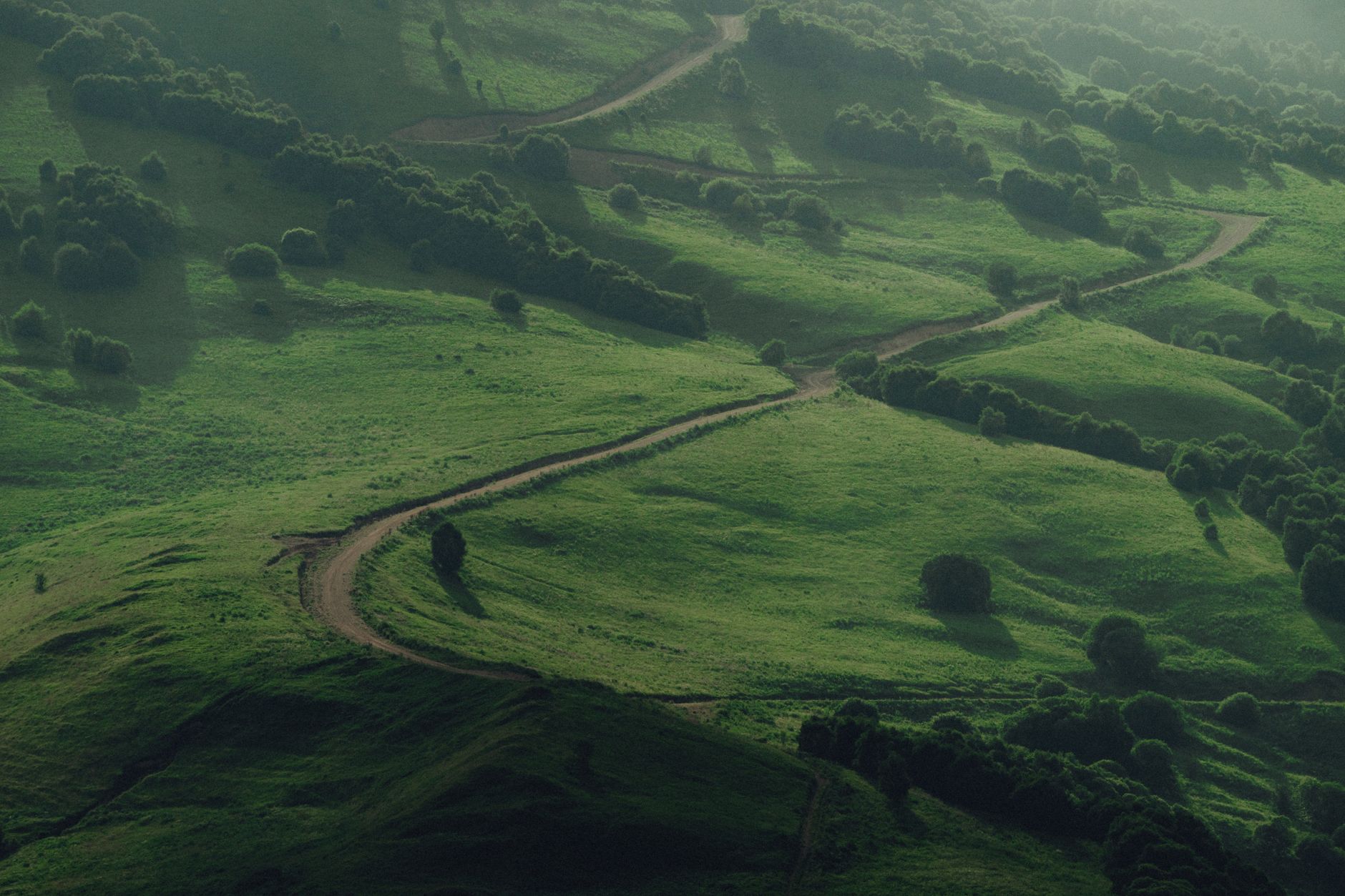 Navigating the Evolving Landscape: A Future for Niche AI Startups