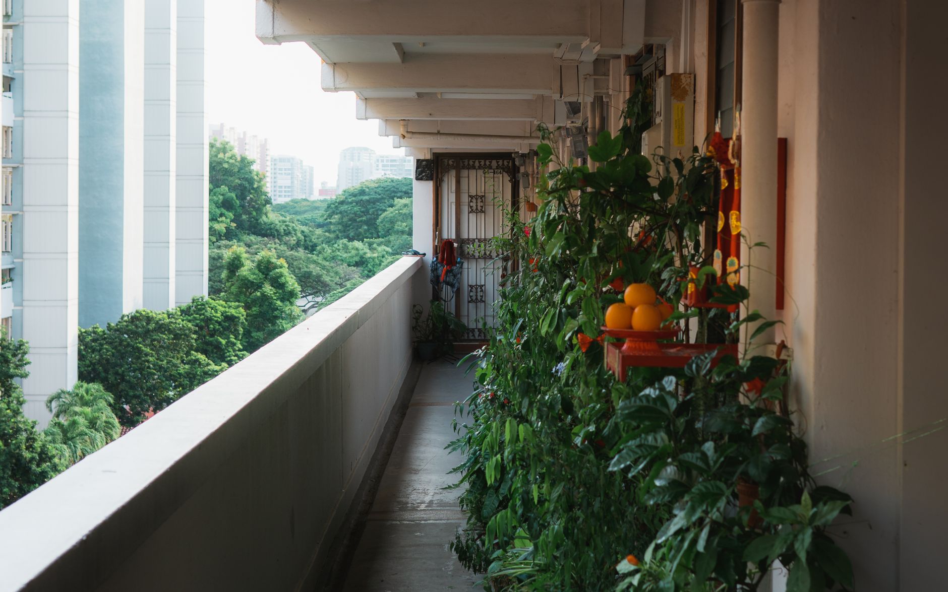Apartment Gardening 2026: Maximizing Small Spaces with Hydroponics &amp; Vertical Farms