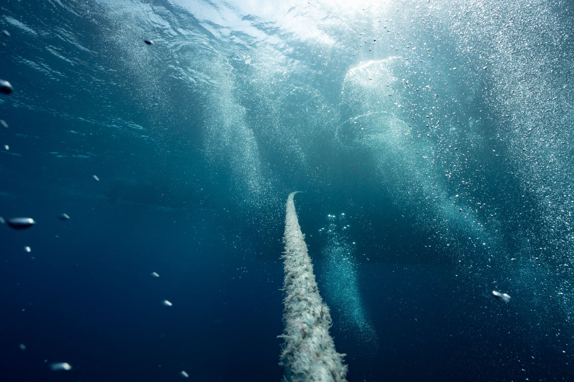 Deep Dive: How $700M in Growth Capital Fuels the Next Wave of Disruptive Innovation